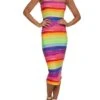 Rainbow Stripe Tube Dress