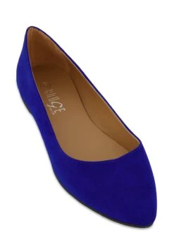 Pointed Toe Flats