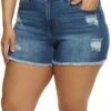 Plus Size High Waist Distressed Denim Shorts