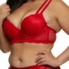 Plus Size Double Strap Plunge Bra