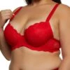 Plus Size Scalloped Trim Lace Plunge Bra