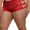 Plus Size Caged Floral Boyshort Panty