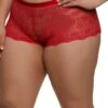 Plus Size Caged Back Lace Boyshort Panty