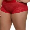 Plus Size Caged Back Ribbon Trim Boyshort Panty