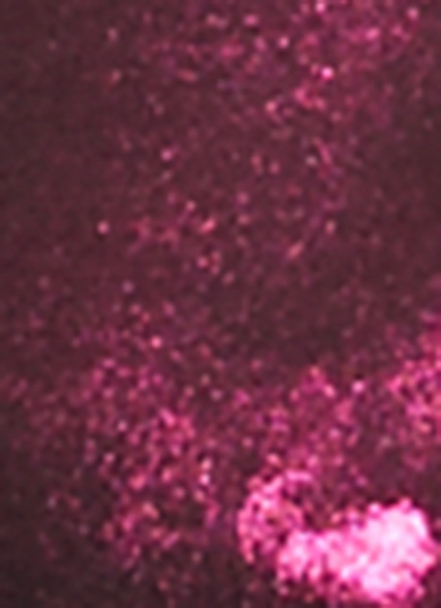 Foiled Mesh Detail Bustier Top - Image 3