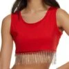 Rhinestone Fringe Trim Crop Top