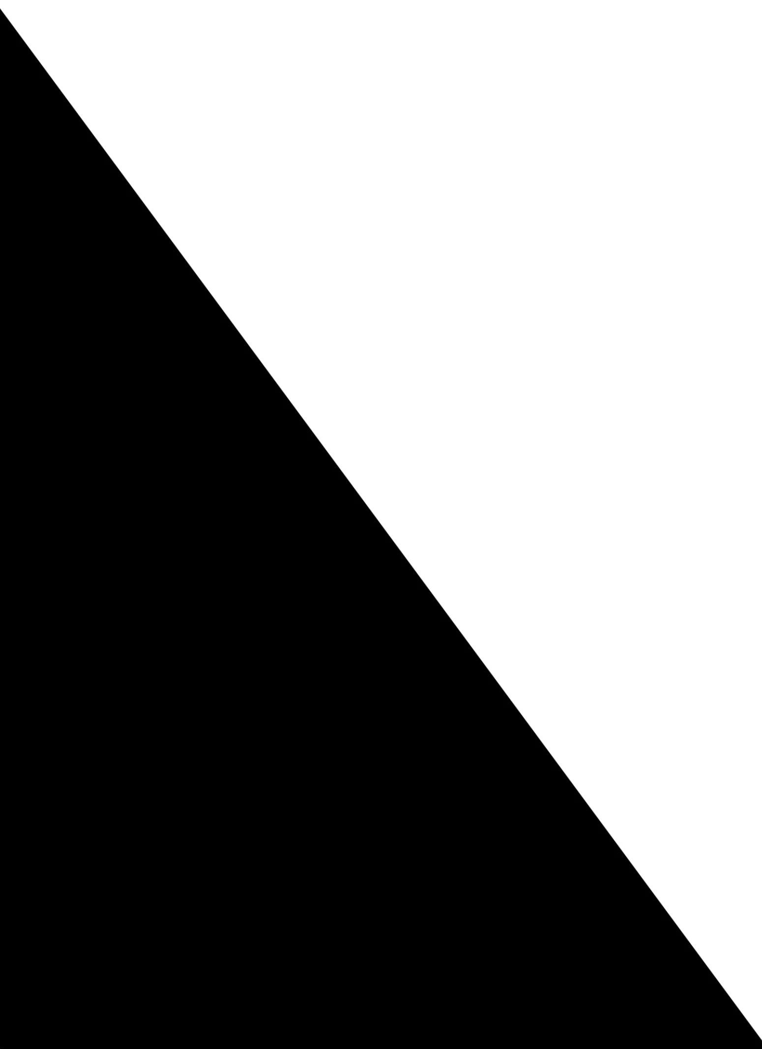 Windowpane Skinny Pants - Image 4