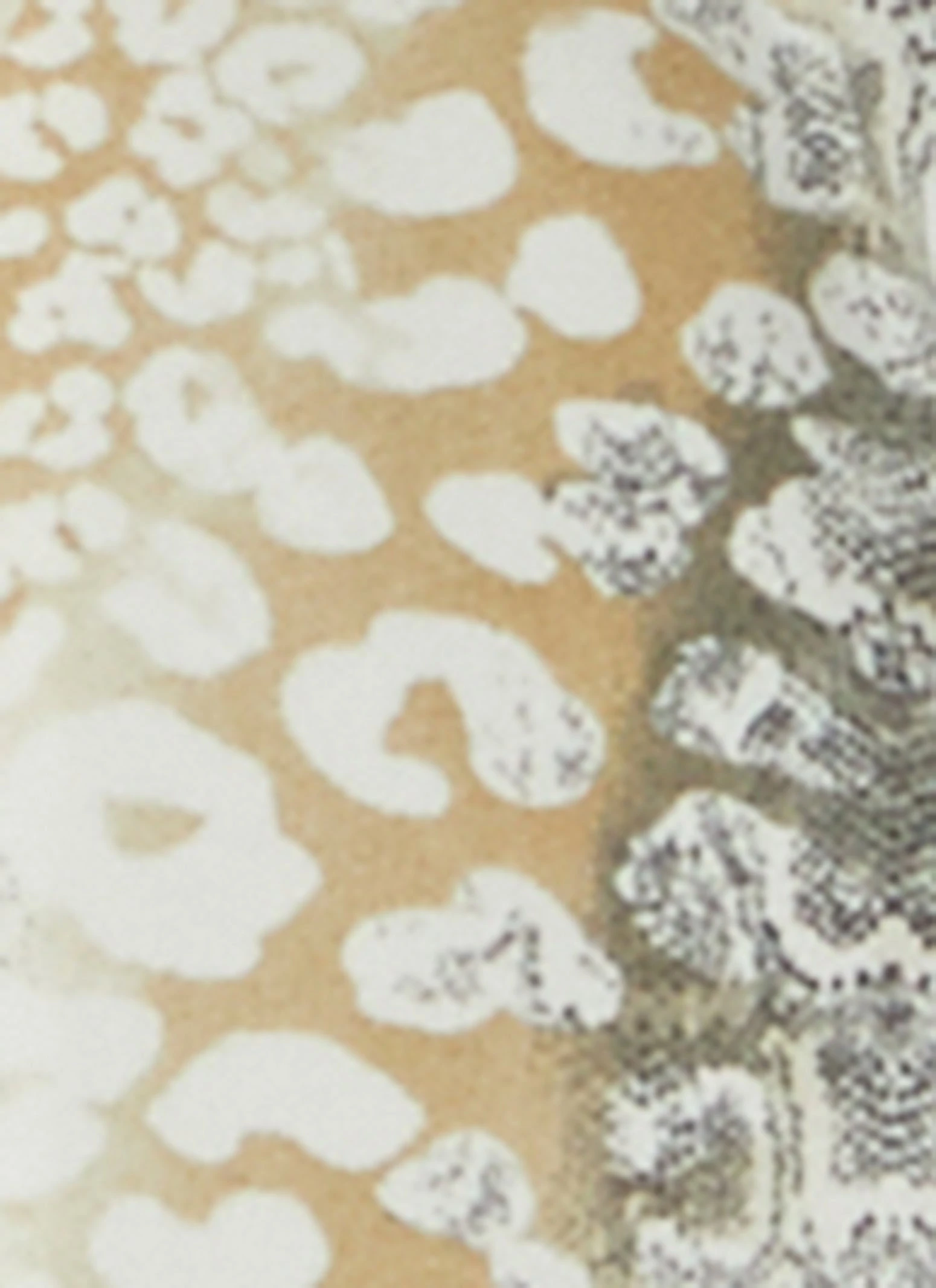 Animal Print Pajama Shirt And Shorts - Image 3