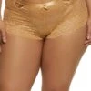 Plus Size Keyhole Lace Boyshort Panty