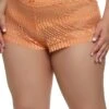 Plus Size Lace Detail Patterned Boyshort Panty