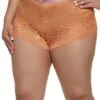 Plus Size Lace Aztec Trim Boyshort Panty