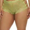 Plus Size Aztec Lace Caged Side Boyshort Panty