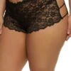 Plus Size Lace Open Side Caged Boyshort Panty