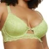 Plus Size Cut Out Front Longline Lace Plunge Bra