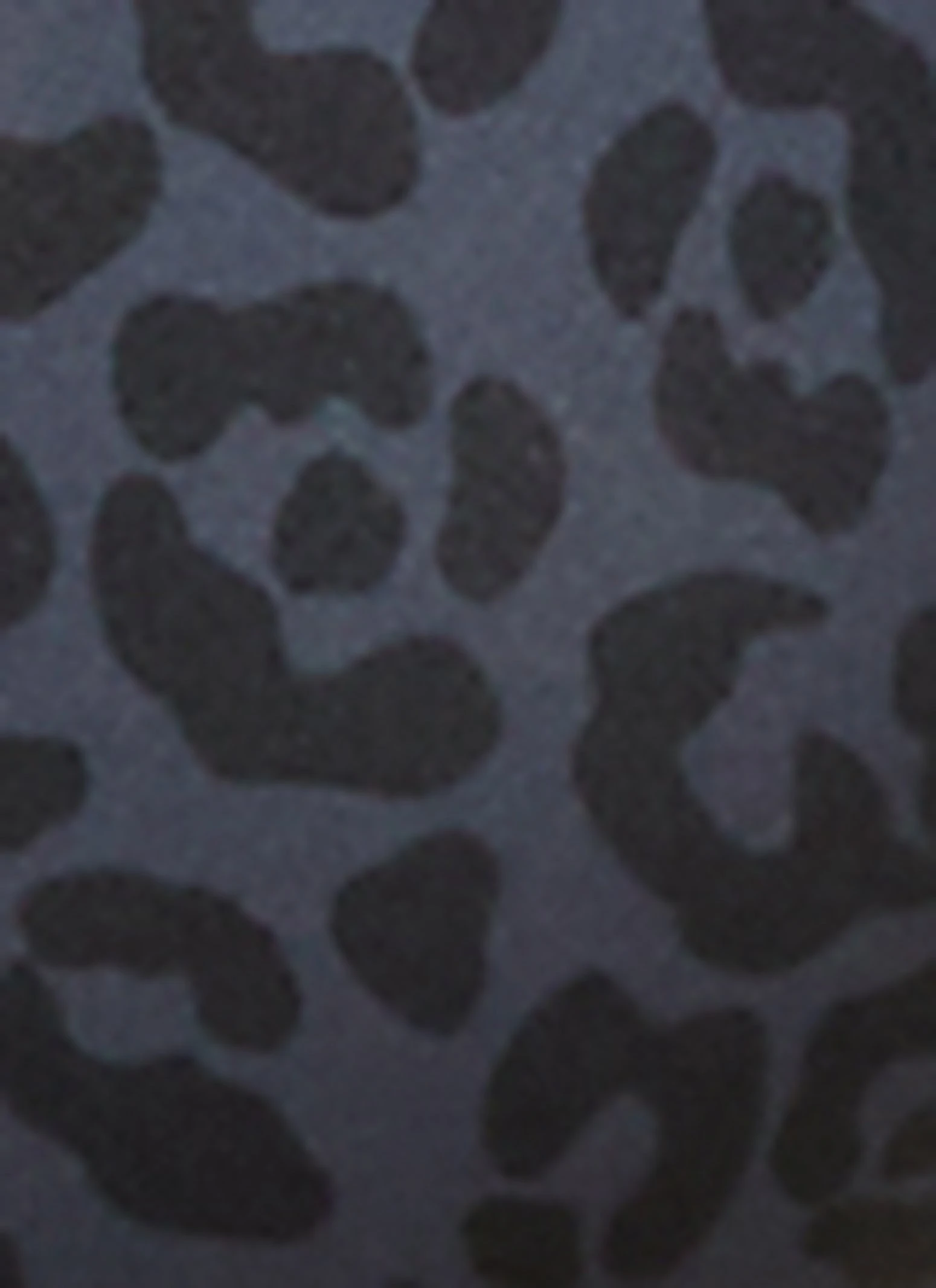 Plus Size Leopard Print Bustier Bodysuit - Image 4