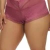 Plus Size Mesh Insert Cut Out Lace Boyshort Panty