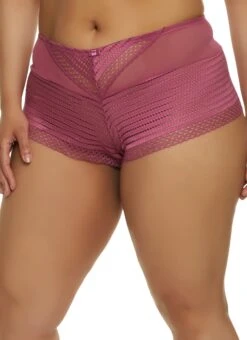 Plus Size Mesh Insert Cut Out Lace Boyshort Panty