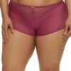 Plus Size Lace Detail Shadow Stripe Boyshort Panty