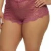 Plus Size Lace Criss Cross V Back Boyshort Panty