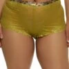 Plus Size Ribbon Trim Lace Boyshort Panty