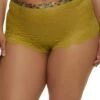 Plus Size Floral Lace Caged Detail Boyshort Panty