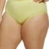 Plus Size Seamless Hipster Panties